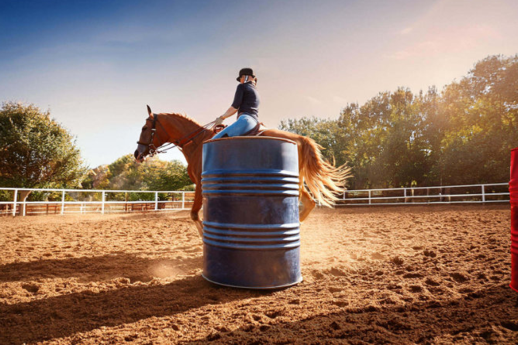 A rider on a chestnut horse circling a blue barrel in a sunlit arena.